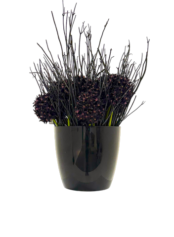 Flower winter